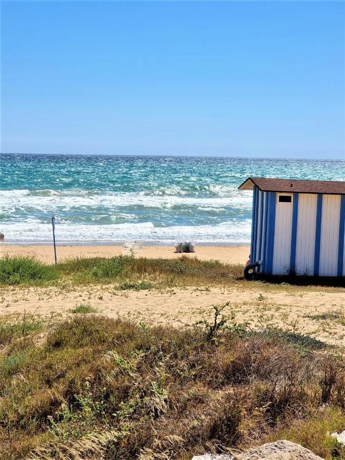 Cabo Cervera Primera Linea Apartamento De Lujo Торевиеха Екстериор снимка
